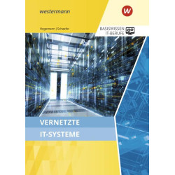 Basiswissen IT-Berufe - Vernetzte IT-Systeme - Schülerband